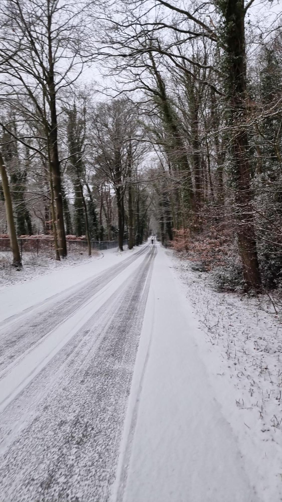 Apartmán Logeren Bij Sabine En Jw Beekbergen Exteriér fotografie